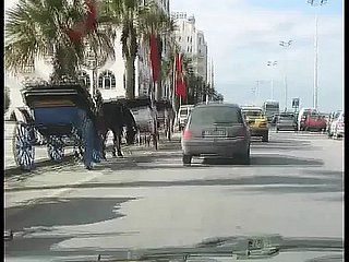 튀니지 사람